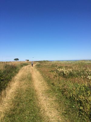 Vägen ner till havet