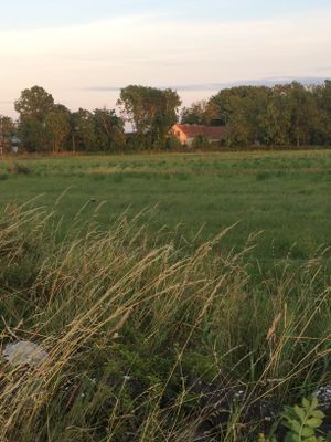 Huset sett från grusvägen