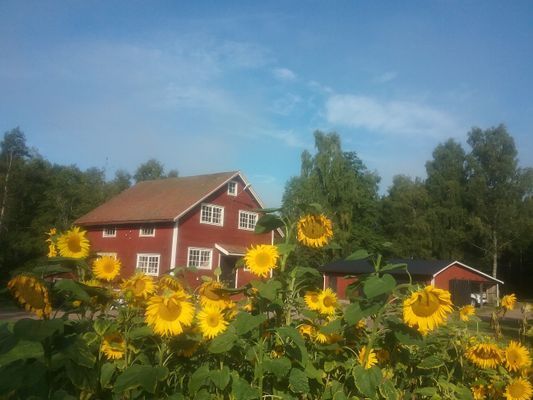 Stuga nära Bullerbyn och Astrid Lindgrens Värld - Bild 4