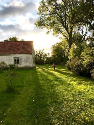 Kalkstenshus - nära havet och bistro - Bild 49