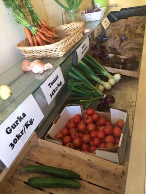 Grönsaker finns att köpa i granngården