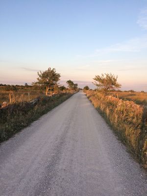 Grusväg från Hamra till huset