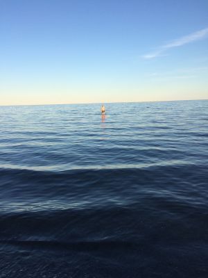 Kvällsdopp, stranden närmast huset