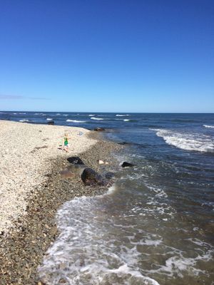 Kalkstenshus - nära havet och bistro - Bild 70