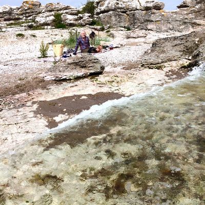 Kalkstenshus - nära havet och bistro - Bild 66