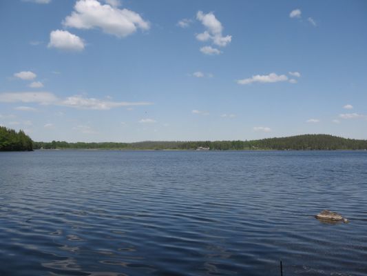 Stuga med bastu, båt 50 m till sjön