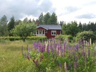 Rosendal - Lugnt och ogenerat - Bild 7