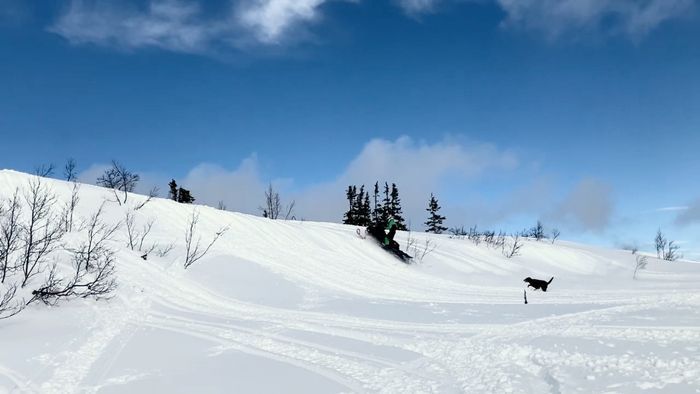 Bränna Frostviken - Bild 23