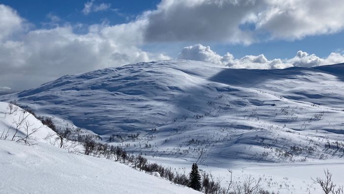 Bränna Frostviken - Bild 27