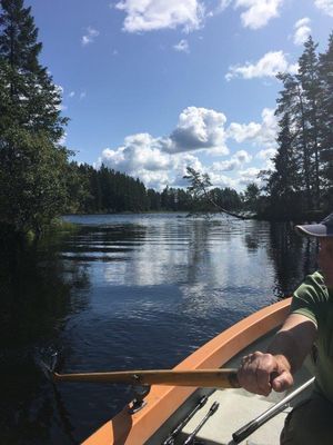 Bästa sjöläge! vedeldad bastu, kanot och fiskebåt - Bild 42