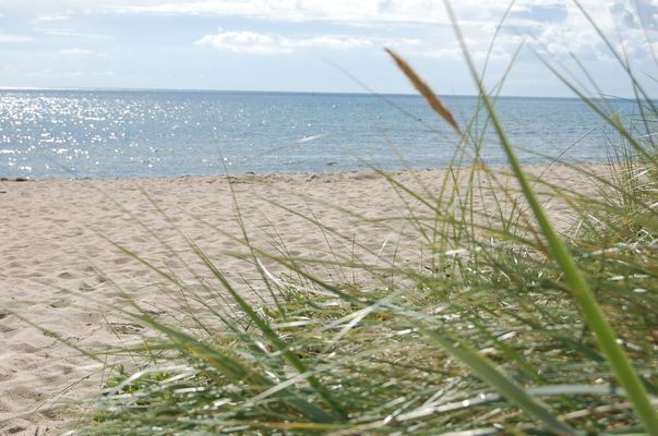 Yngsjö 80 m till havet och Sveriges längsta strand