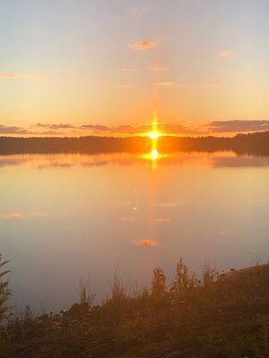 Röd liten stuga vid sjön - Bild 28