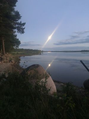 Röd liten stuga vid sjön - Bild 21