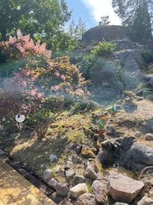 Strandnära stuga i naturskön miljö - Bild 38