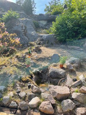 Strandnära stuga i naturskön miljö - Bild 9