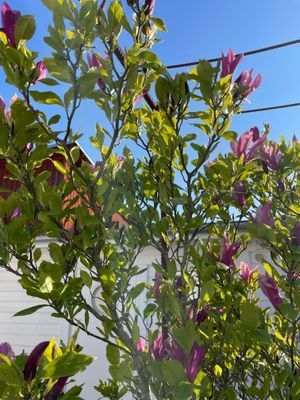 Smakfullt boende i centrala Borgholm - Bild 29