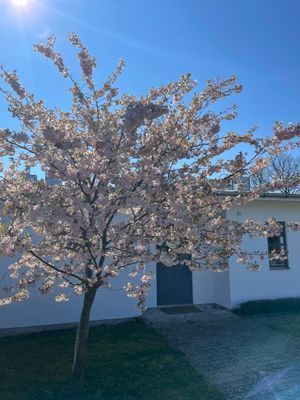 Smakfullt boende i centrala Borgholm - Bild 37