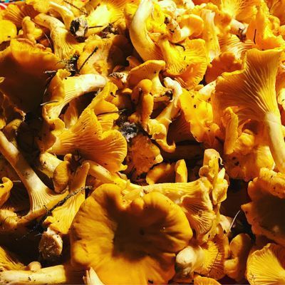 Fritidshus med unikt läge vid Kalmarsund - Bild 21