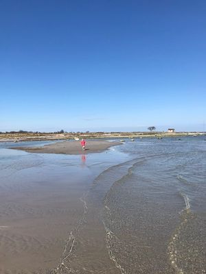 Kalkstenshus - nära havet och bistro - Bild 83