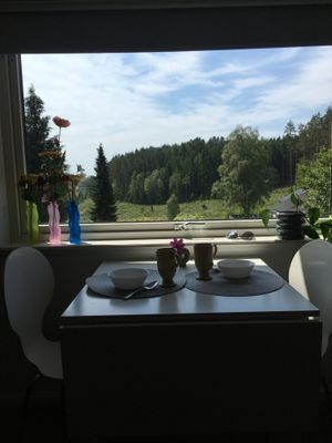 Mysig liten lya 2 mil söder om Göteborg - Bild 2