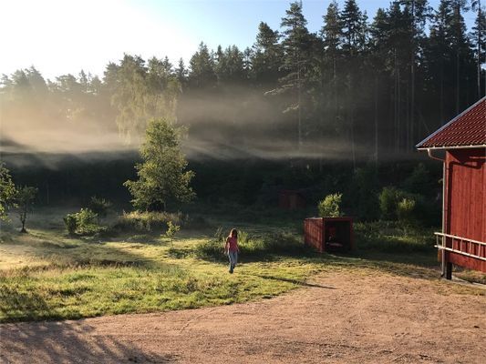 Liten stuga, 10 min skogspromenad till havsbad - Bild 3