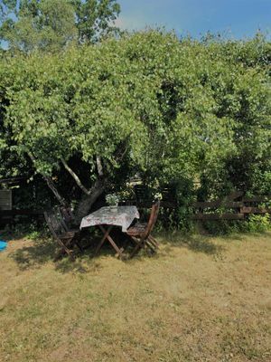 Sommarstuga på Öland - Bild 3