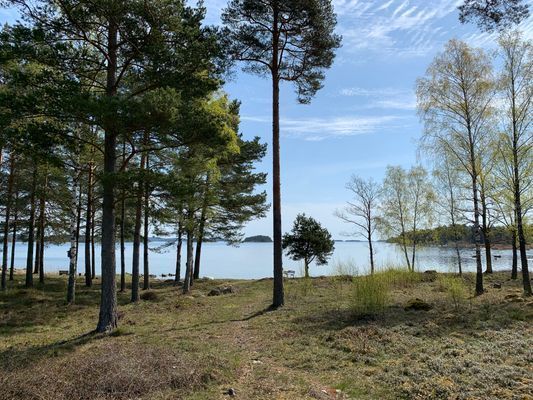 Underbar stuga precis vid havet med spa - Bild 16