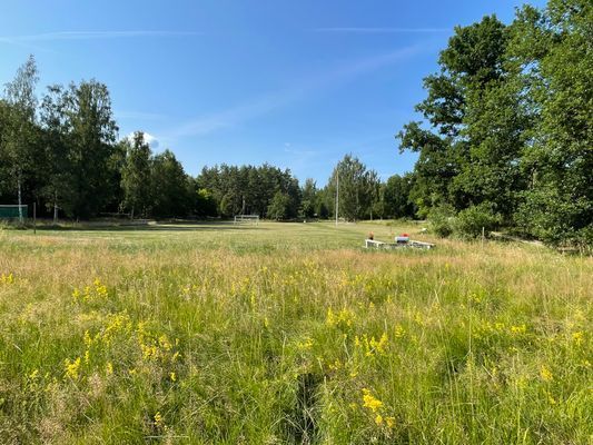 Strandnära stuga i naturskön miljö - Bild 48