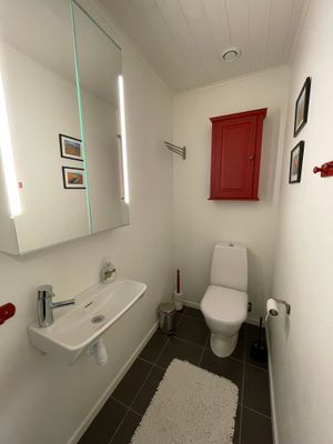 Mysig stuga med fjällglimt - Bild 14