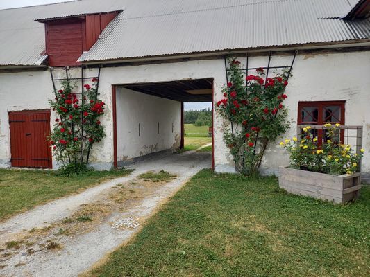 Kalkstensflygel med kul för barnen,nö-gotland. - Bild 22