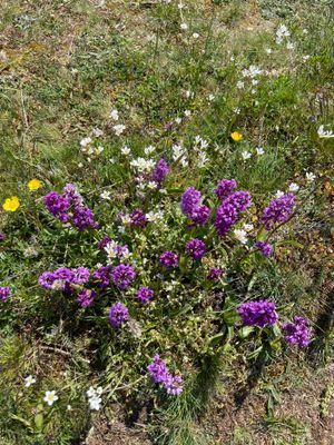 Mysig stuga vid Sandbybadet Löttorp - Bild 24