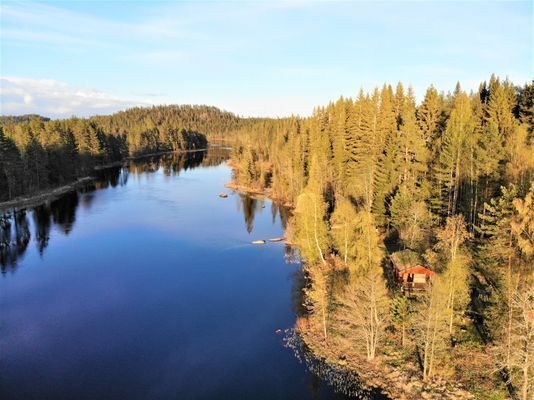 Bästa sjöläge! vedeldad bastu, kanot och fiskebåt - Bild 17