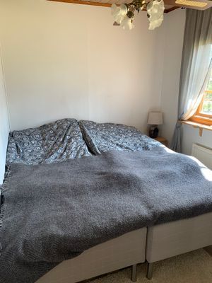 Mysig stuga nära badsjö och skogen tätt inpå - Bild 13