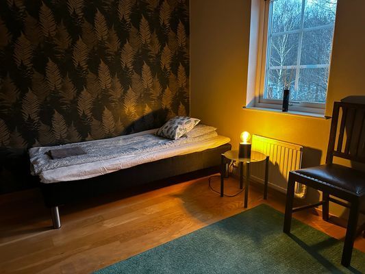 Stor och vacker villa i skogen - Bild 16