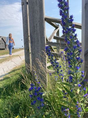 Enkelt fint hus - Bild 5