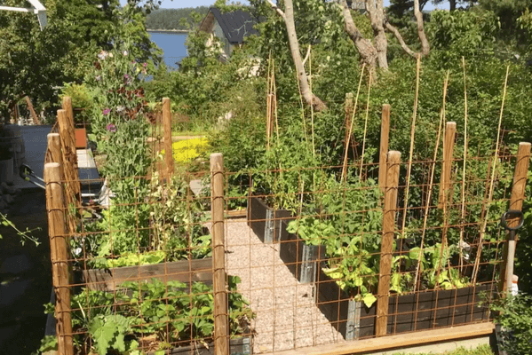 Villa Sångfågeln vid Stockholms inlopp - Bild 31