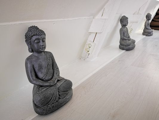 Yogi Wellness Gästhus med Jacuzzi - Bild 13