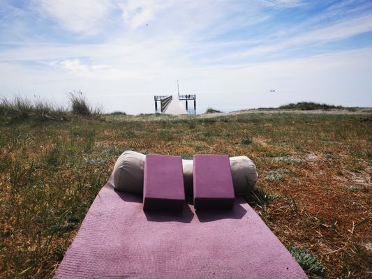 Yogi Wellness Gästhus med Jacuzzi - Bild 48