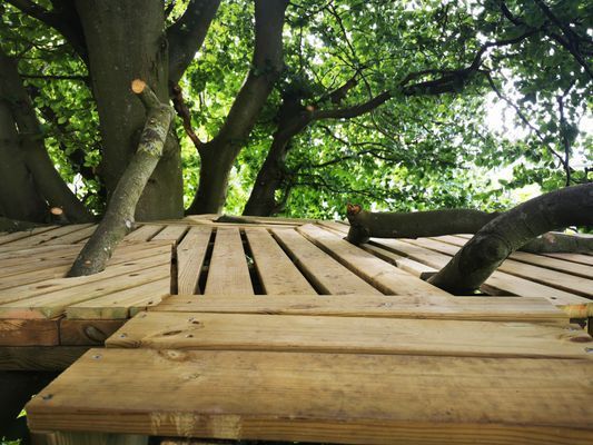 Yogi Wellness Gästhus med Jacuzzi - Bild 30