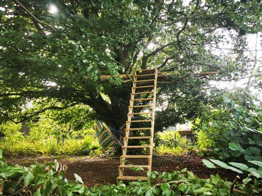 Yogi Wellness Gästhus med Jacuzzi - Bild 28