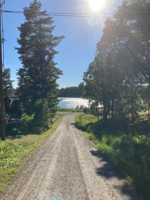 Strandnära stuga i naturskön miljö - Bild 39