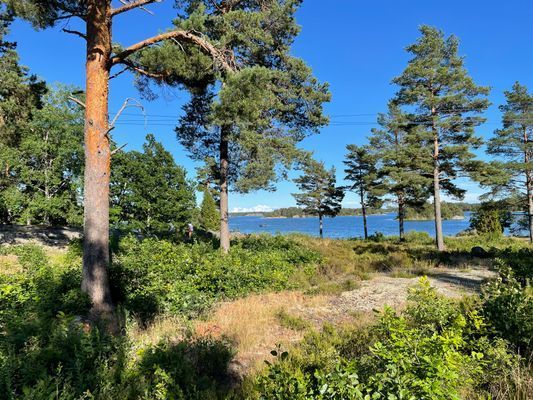 Strandnära stuga i naturskön miljö - Bild 50
