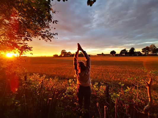 Yogi Wellness Gästhus med Jacuzzi - Bild 44