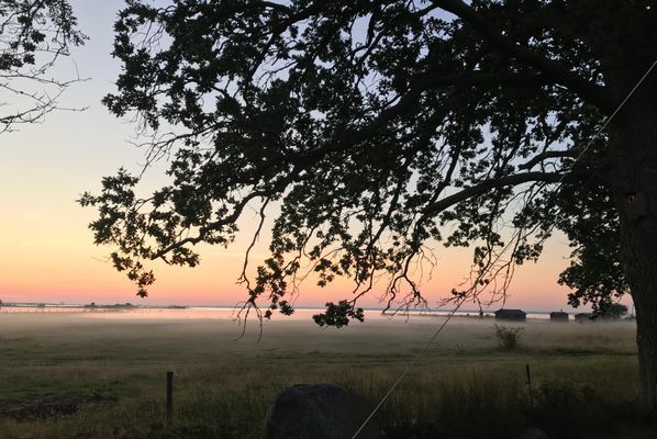 Fritidshus med unikt läge vid Kalmarsund - Bild 14