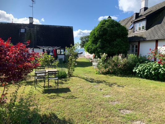 Trädgård med havsutsikt.