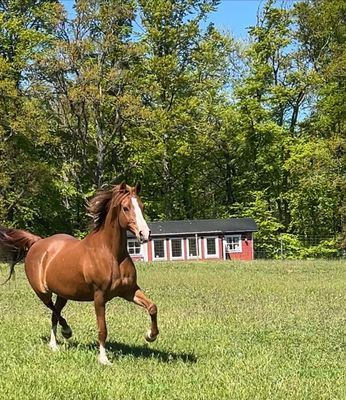 Porten till Österlen i unik miljö. - Bild 5
