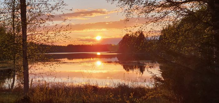 Bästa sjöläge! vedeldad bastu, kanot och fiskebåt - Bild 20