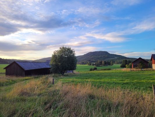 Mysigt 1800-talshus med 4 sovrum - Bild 59