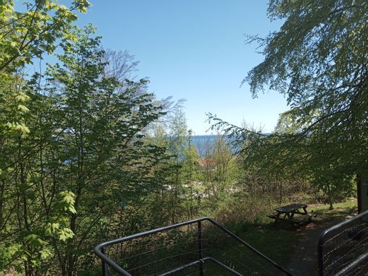 Baskemölla österlen - Bild 6