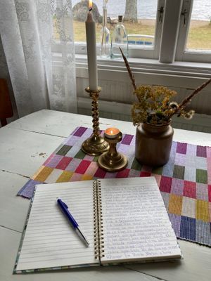 Röd liten stuga vid sjön - Bild 12